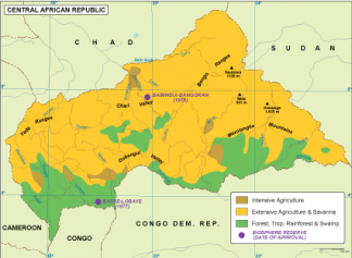 Central Afr Rep vegetation map