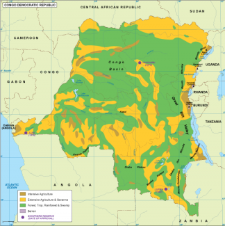 Congo Dem Rep vegetation map