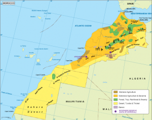 Morocco vegetation map
