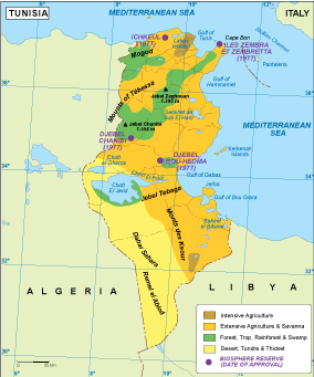 Tunisia vegetation map