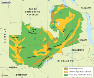 Zambia vegetation map