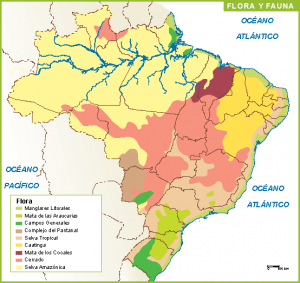 Brasil mapa flora fauna