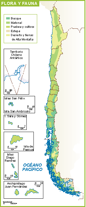 Chile mapa flora fauna