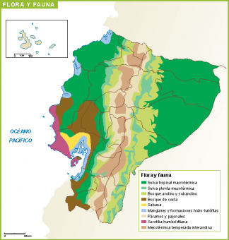 Ecuador mapa flora fauna