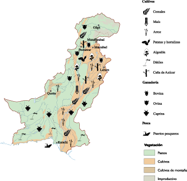 Pakistan Agricultural map